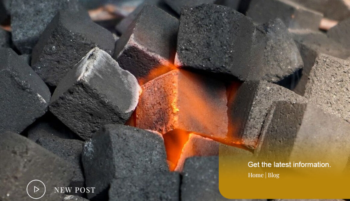 Manufacturer-and-Export-of-Coconut-Charcoal-Briquettes Manufacturer-and-Export-of-Coconut-Charcoal-Briquettes
