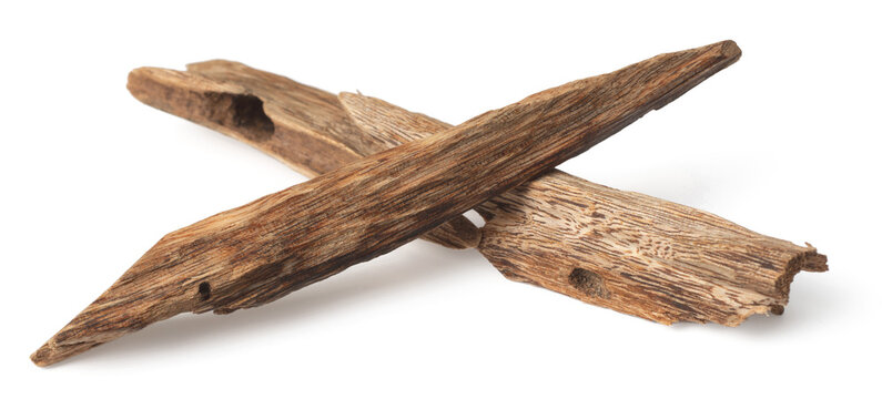 agarwood image