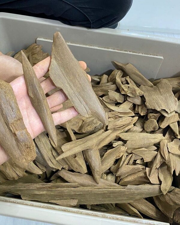 gallery agarwood (9)
