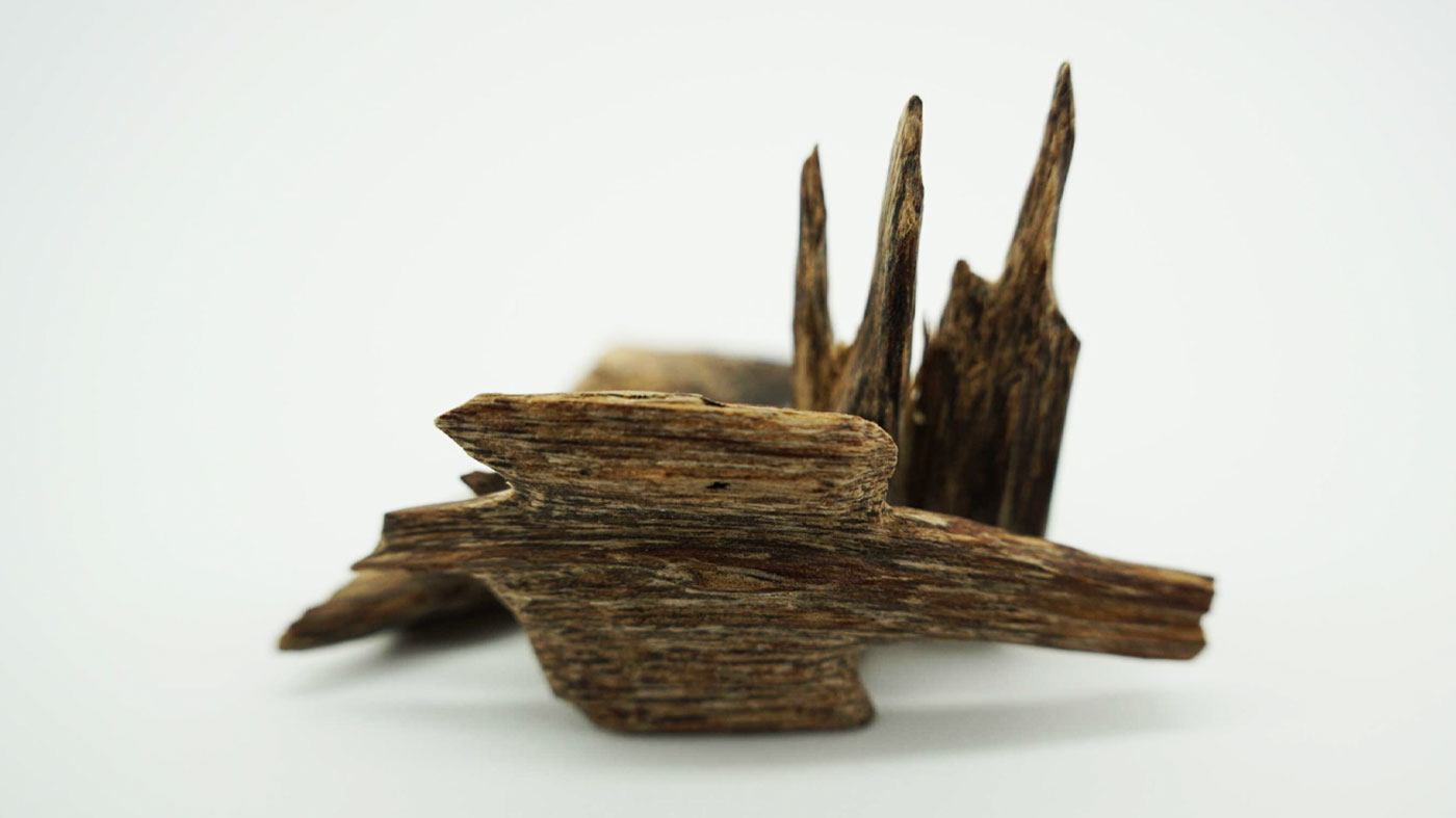 AGARWOOD AGARWOOD